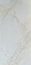 CARRARA GREY & GOLD MATT 600X1200