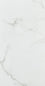 CARRARA GLOSS 300x600