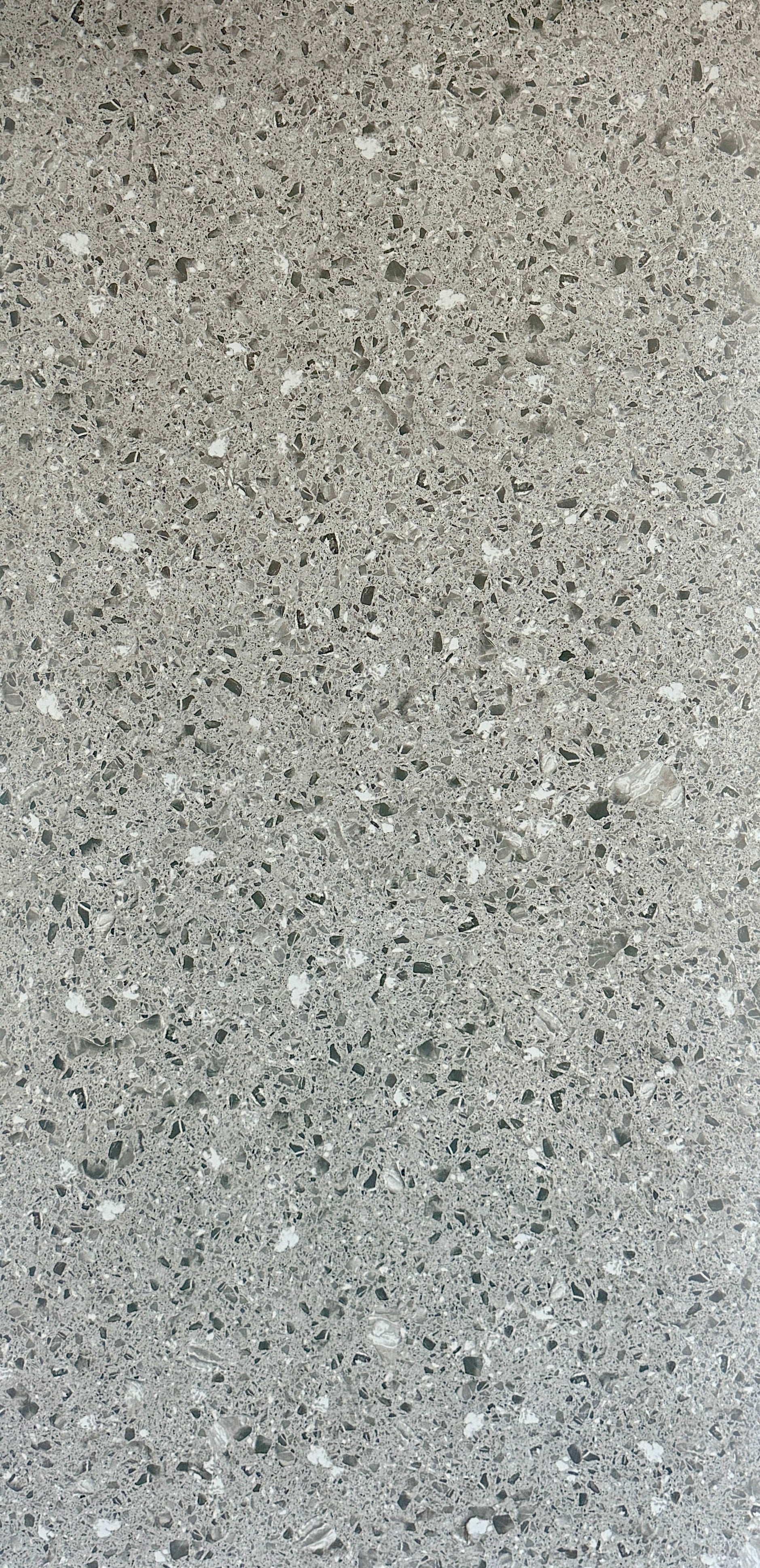 GREY TERRAZZO MATT 600X1200
