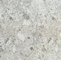 STONE IVORY TERRAZZO MATT 600X600