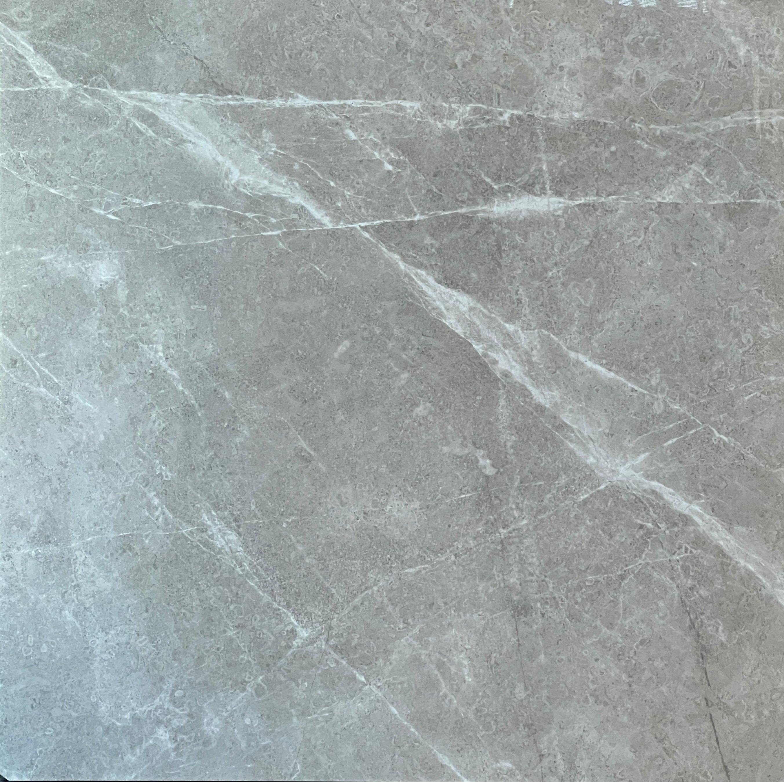 CLASSIC STONE GREY GLOSS 600x600mm