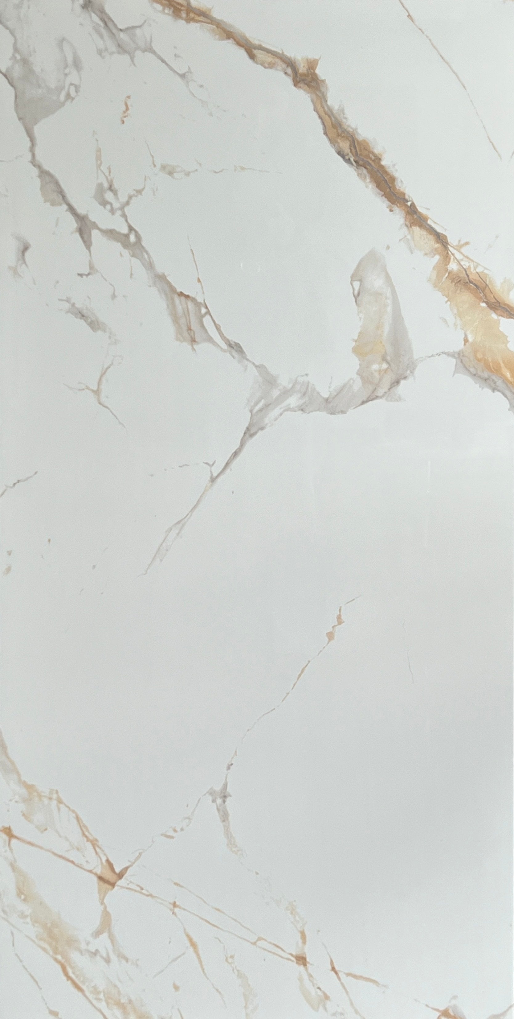 CARRARA GREY & GOLD GLOSS 600x1200