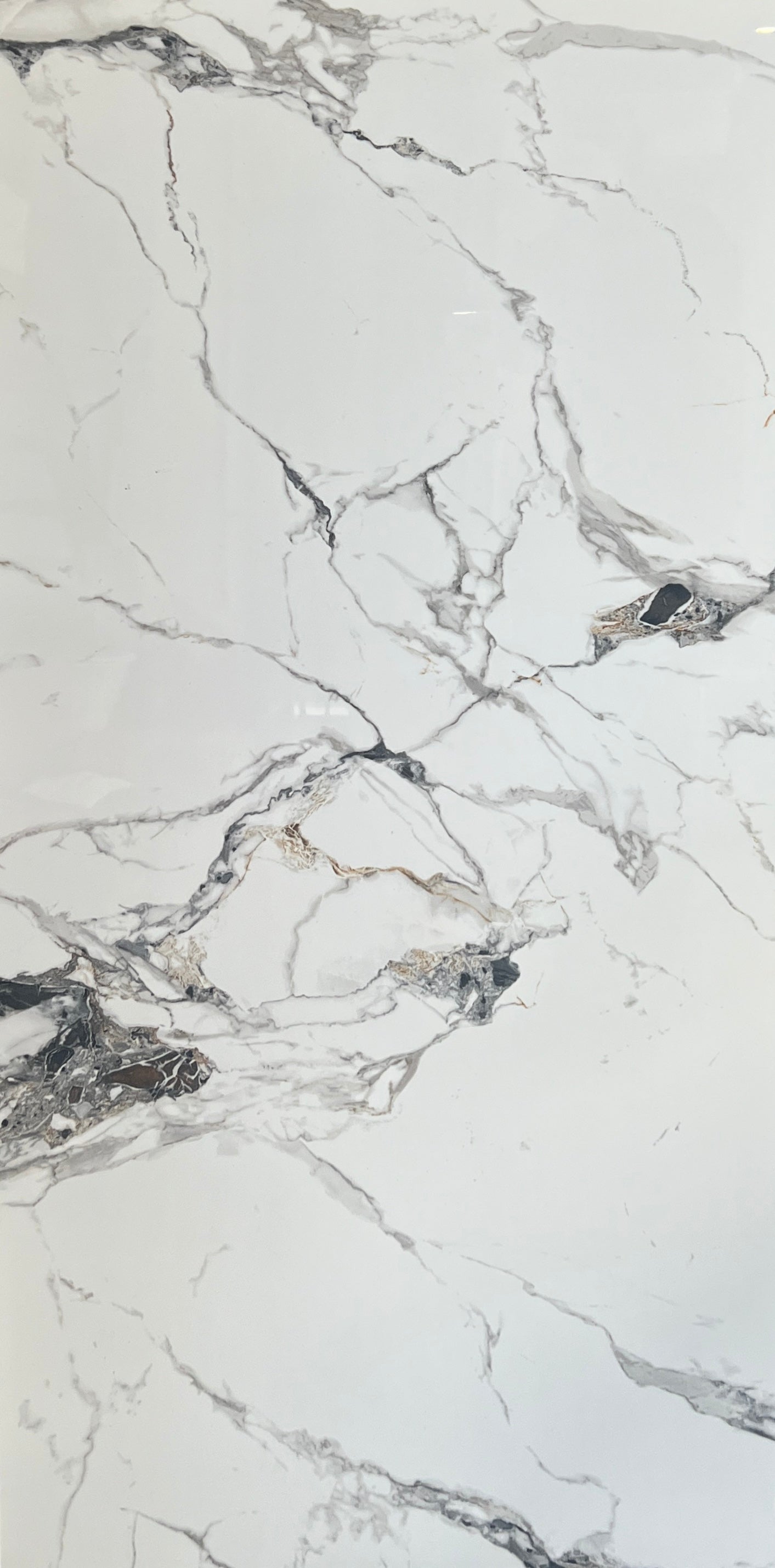 CARRARA GOLD VEIN 600x1200