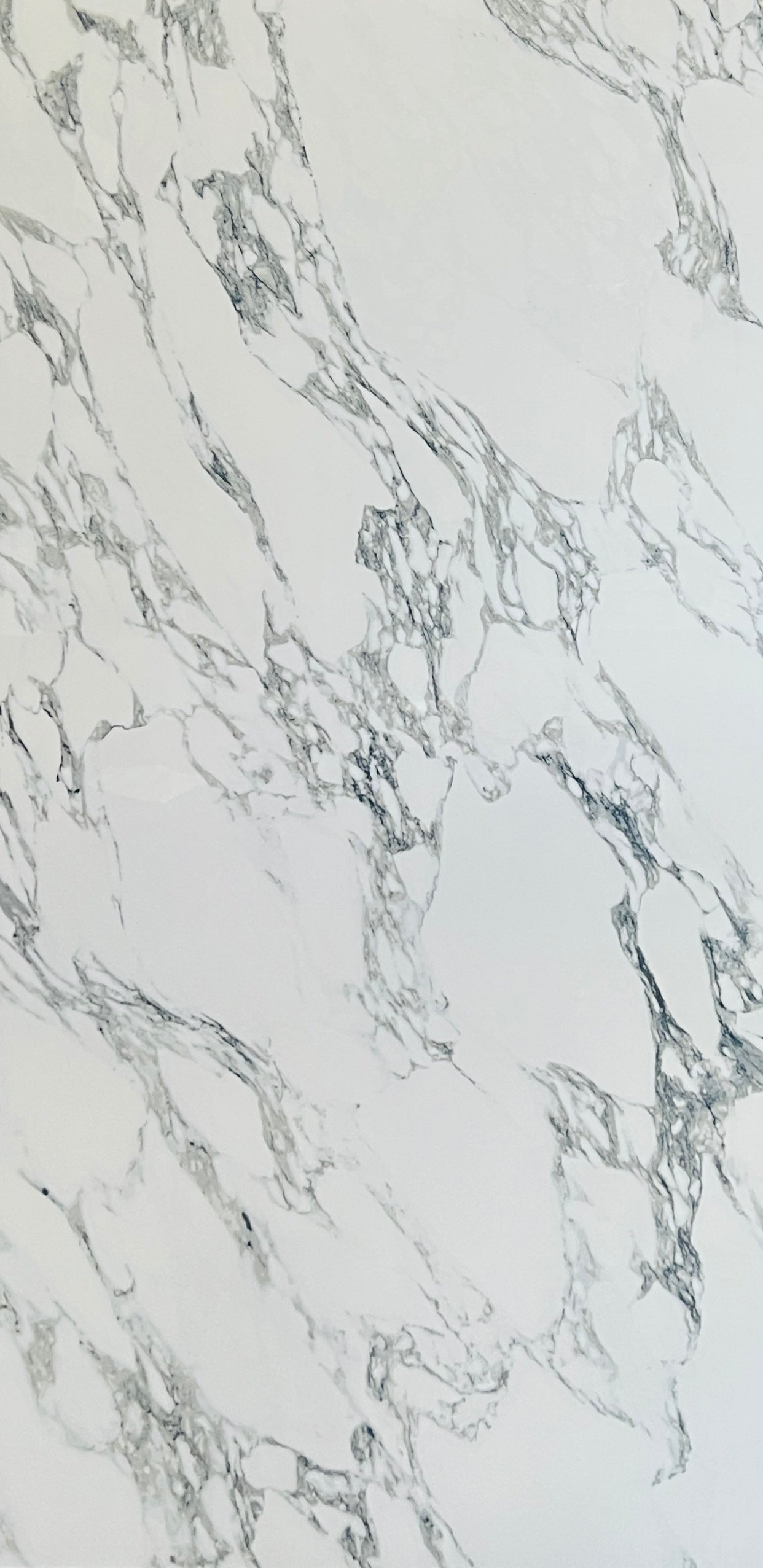 BIANCO CARRARA GLOSS 600X1200