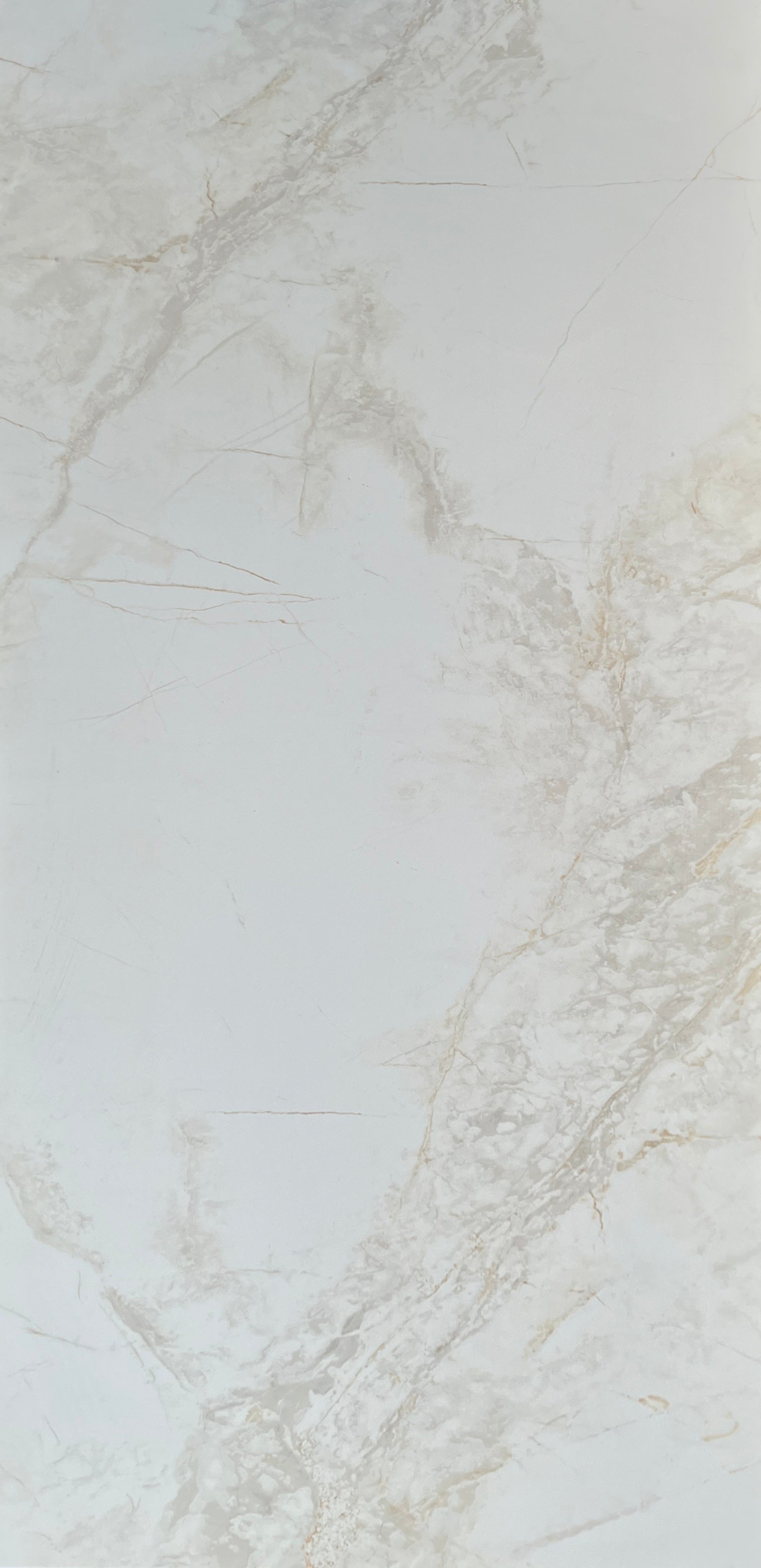 CARRARA GREY & GOLD MATT 600X1200