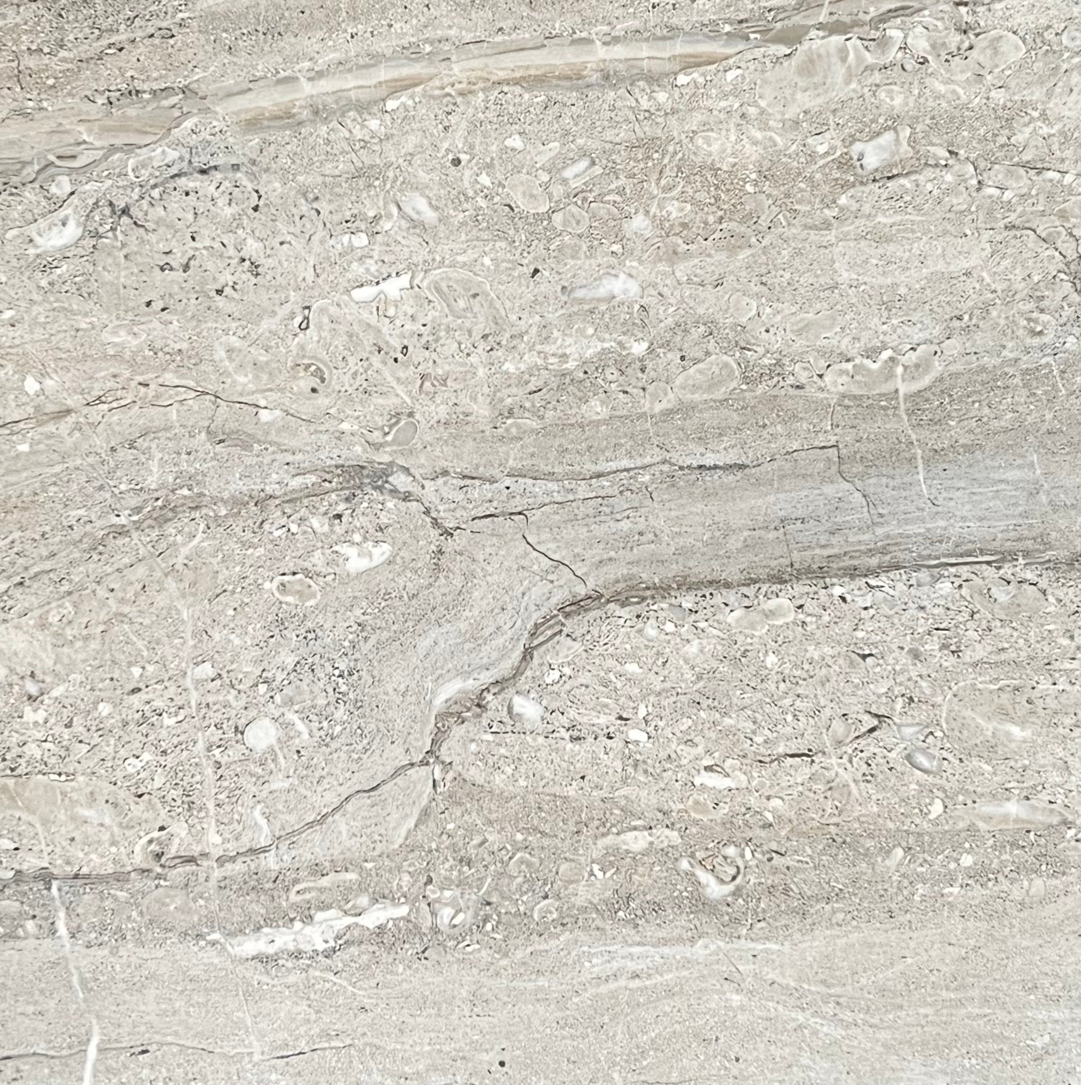 DYNA GRISS GLOSS 600X600MM