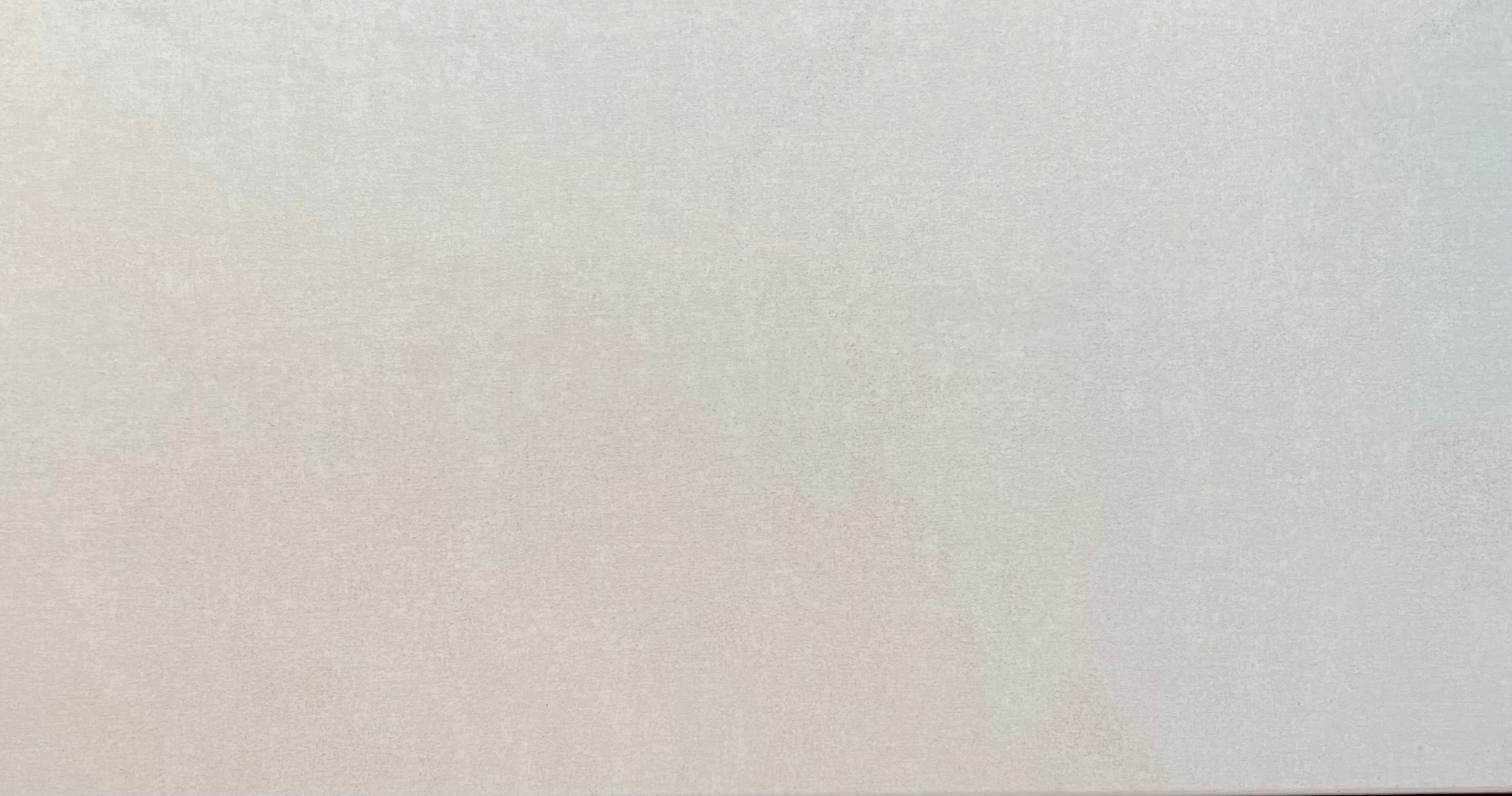 POLO WHITE ANTISLIP