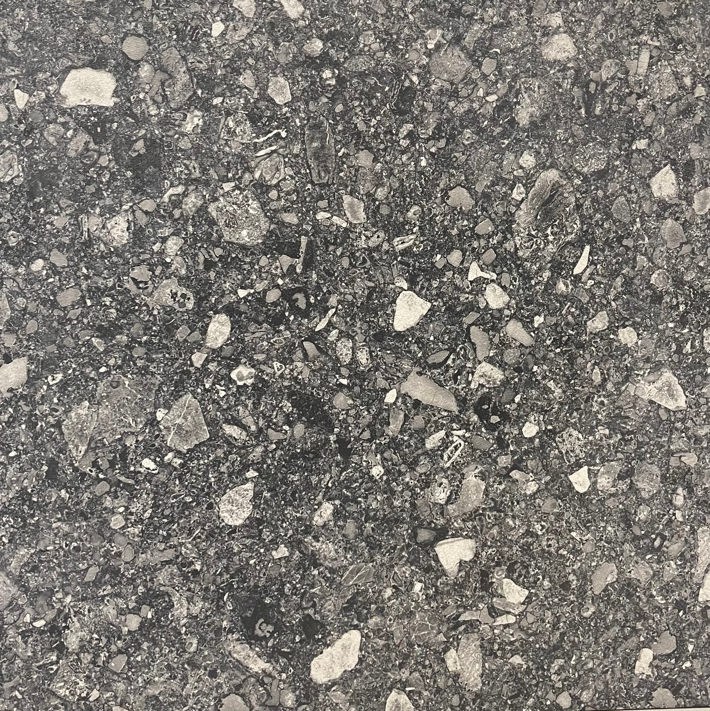 CHARCOAL TERRAZZO ROUGH MATT 600X600MM