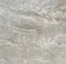ALPINE STONE GREY GLOSS 600X600