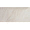 NERVE BEIGE GLOSS 300x600MM