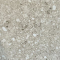 Beige Terrazzo Rough Matt