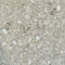 Beige Terrazzo Rough Matt